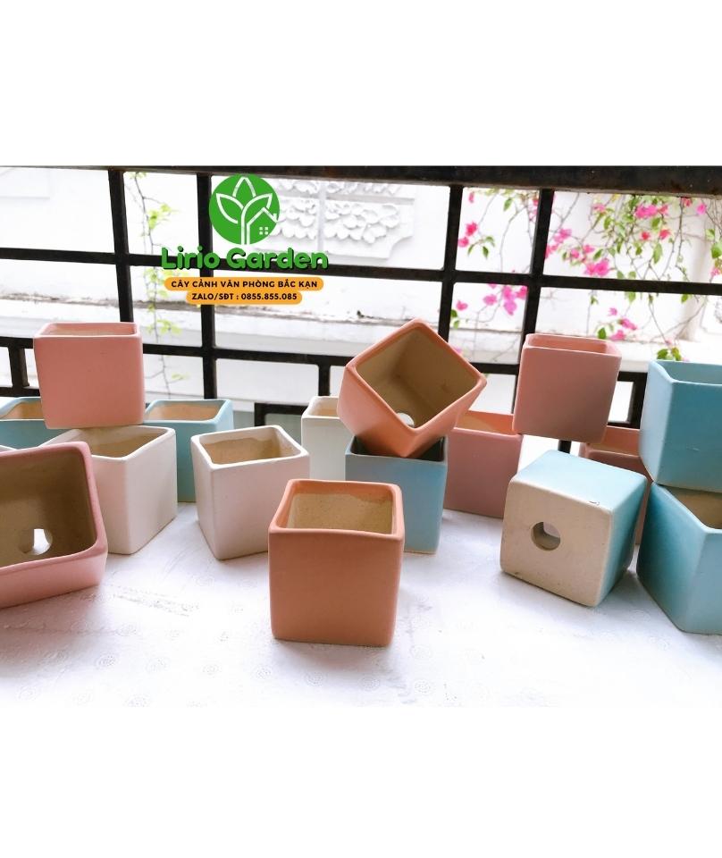 chậu vuông mini