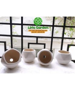 chậu kim cương màu