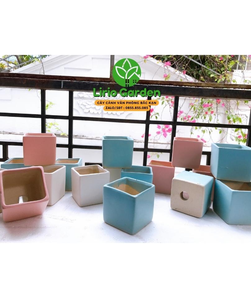 chậu vuông mini