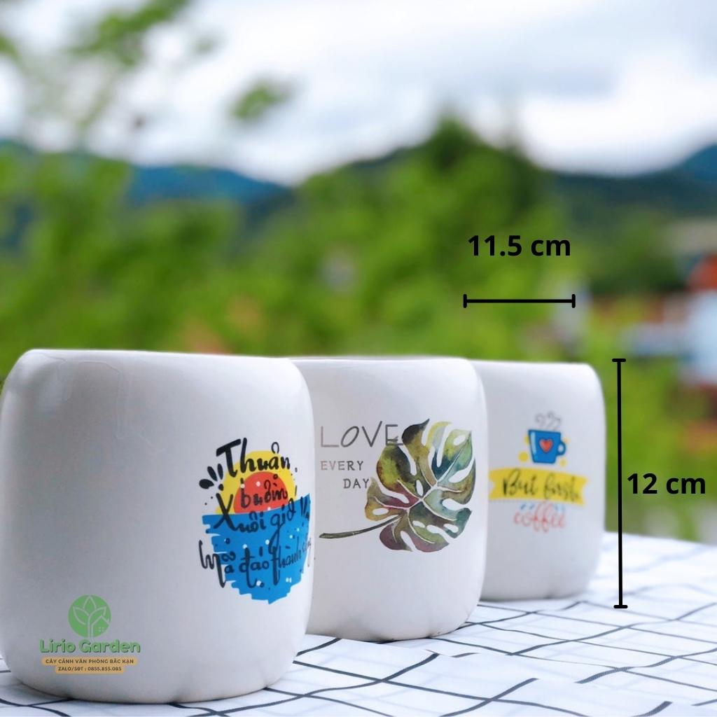 Chậu Trụ Bo S2 Trắng In