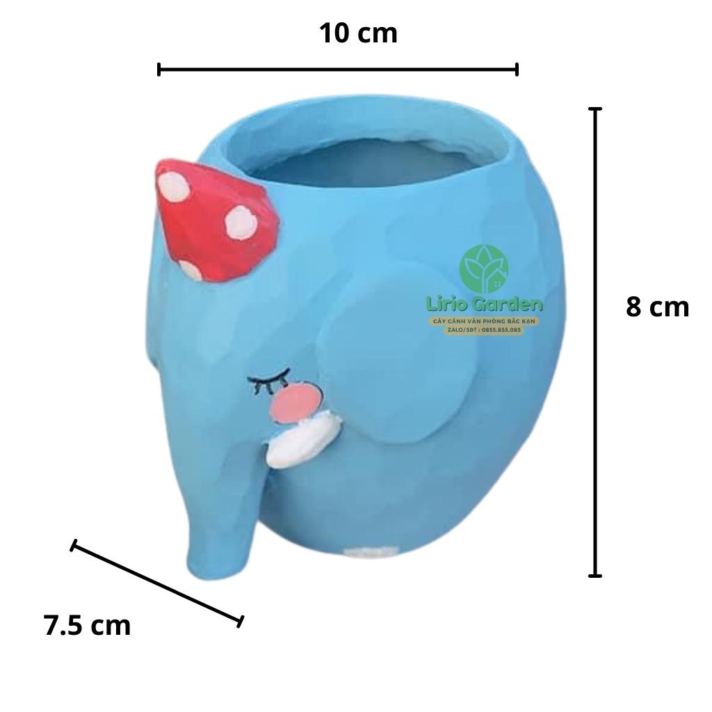 Chậu cây hình voi xanh nước biển
