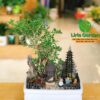 Bạch Tuyết Mai Trắng Trang Trí Tiểu Cảnh