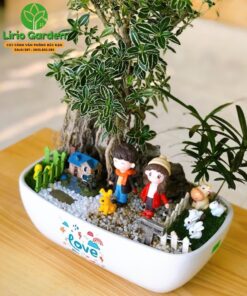 Bạch Tuyết Mai Trang Trí Tiểu Cảnh