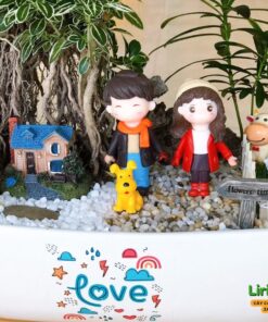 Bạch Tuyết Mai Trang Trí Tiểu Cảnh