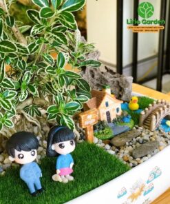 Cây Bạch Tuyết Mai Trang Trí Tiểu Cảnh