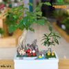 Cây Hạnh Phúc Trang Trí Tiểu Cảnh