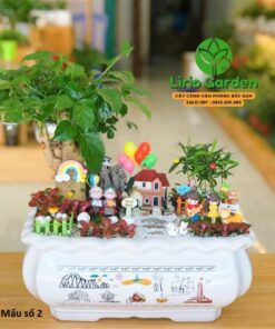 Cây Hạnh Phúc Trang Trí Tiểu Cảnh