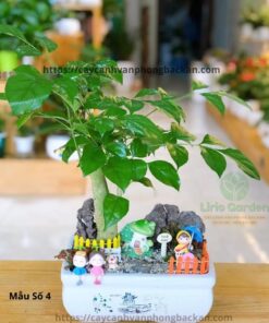 Cây Hạnh Phúc Trang Trí Tiểu Cảnh