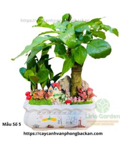 Cây Hạnh Phúc Trang Trí Tiểu Cảnh