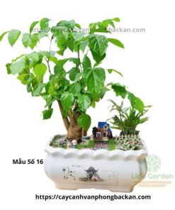 Cây Hạnh Phúc Trang Trí Tiểu Cảnh