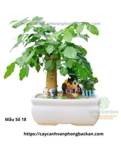 Cây Hạnh Phúc Trang Trí Tiểu Cảnh