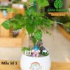 Cây Hạnh Phúc Trang Trí Tiểu Cảnh