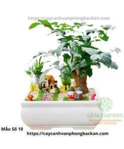 Cây Hạnh Phúc Trang Trí Tiểu Cảnh