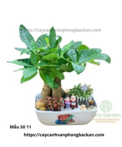 Cây Kim Ngân Ba Thân Trang Trí Tiểu Cảnh