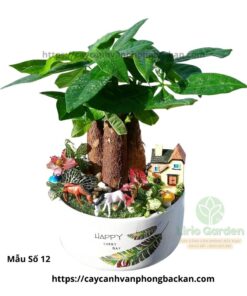 Cây Kim Ngân Ba Thân Trang Trí Tiểu Cảnh