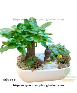 Cây Kim Ngân Ba Thân Trang Trí Tiểu Cảnh