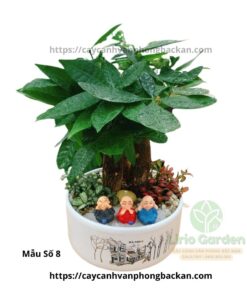 Cây Kim Ngân Ba Thân Trang Trí Tiểu Cảnh