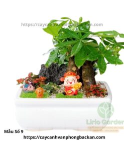 Cây Kim Ngân Ba Thân Trang Trí Tiểu Cảnh