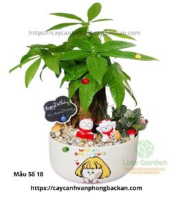 Cây Kim Ngân Ba Thân Trang Trí Tiểu Cảnh