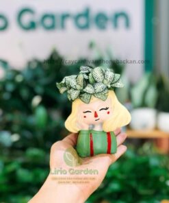 Chậu Cây Hình Cô Gái