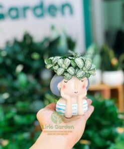 Chậu Cây Hình Cô Gái