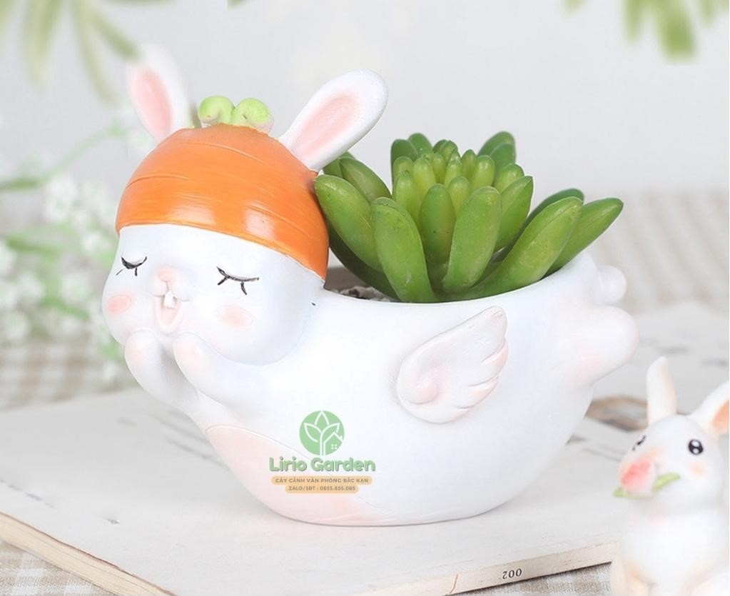 Chậu Cây Hình Thỏ Trắng Có Cánh