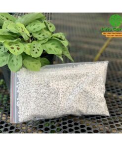 Đá Trân Châu Perlite