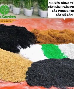 Đất Trồng Chuyên Dụng Cây Cảnh Văn Phòng