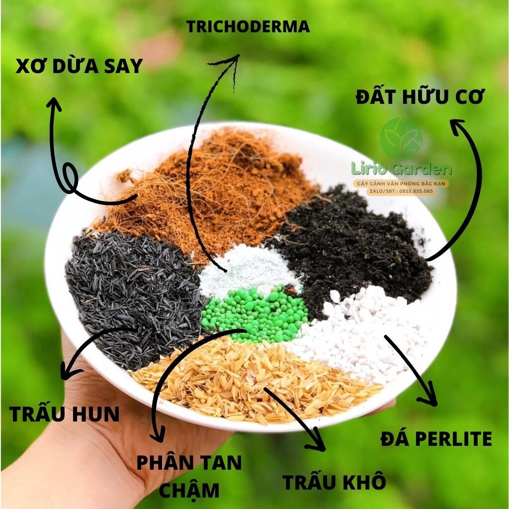 Đất Trồng Chuyên Dụng Cây Cảnh Văn Phòng