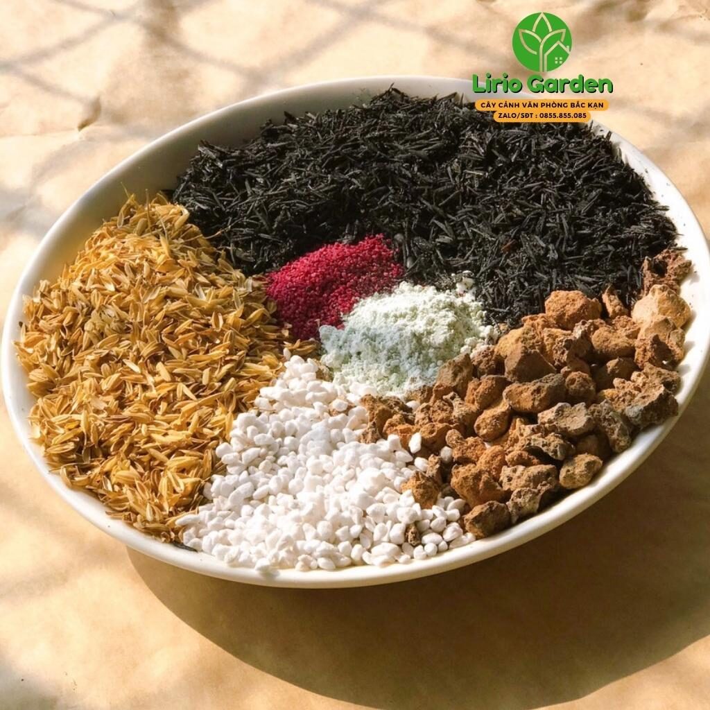 Đất Trồng Cây Sen Đá Xương Rồng Loại Siêu Thoáng