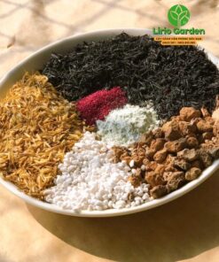 Đất Trồng Cây Sen Đá Xương Rồng Loại Siêu Thoáng