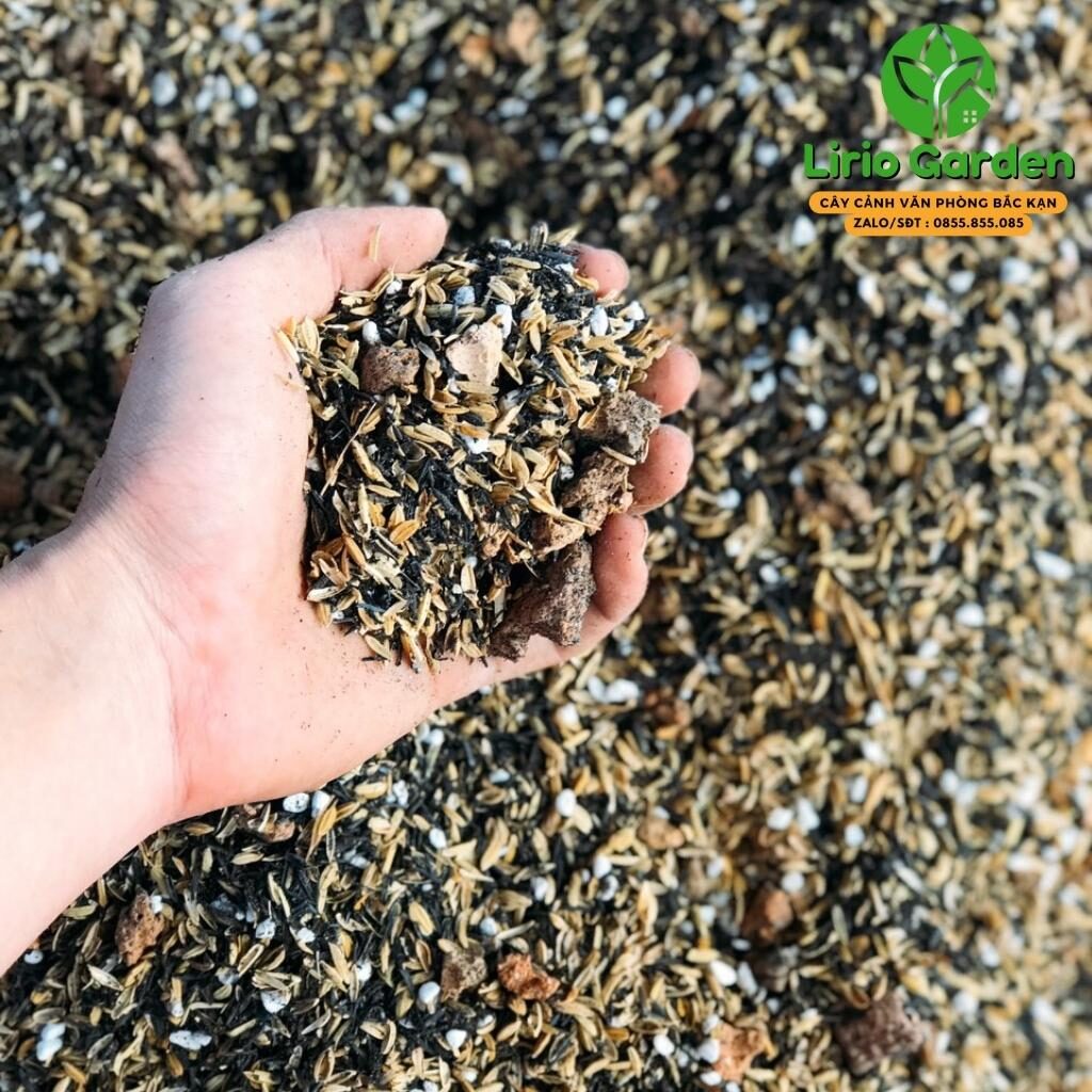 Đất Trồng Cây Sen Đá Xương Rồng Loại Siêu Thoáng