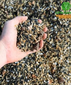 Đất Trồng Cây Sen Đá Xương Rồng Loại Siêu Thoáng