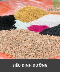 Đất Trồng Cây Sen Đá Xương Rồng Siêu Dinh Dưỡng