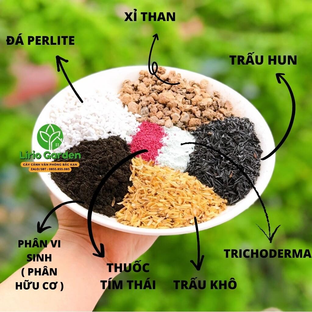 Đất Trồng Cây Sen Đá Xương Rồng Siêu Dinh Dưỡng
