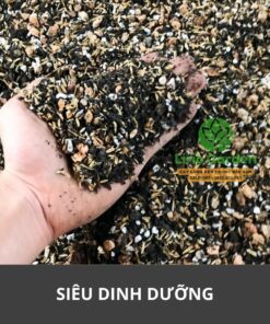 Đất Trồng Cây Sen Đá Xương Rồng Siêu Dinh Dưỡng