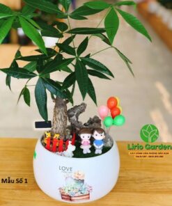 Cây Kim Ngân Trang Trí Tiểu Cảnh