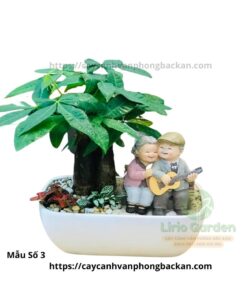 Kim Ngân Size To Trang Trí Tiểu Cảnh