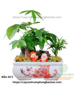 Kim Ngân Size To Trang Trí Tiểu Cảnh