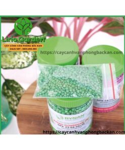 phân tan chậm cho cây cảnh