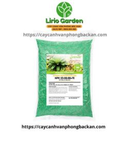 phân tan chậm cho cây cảnh