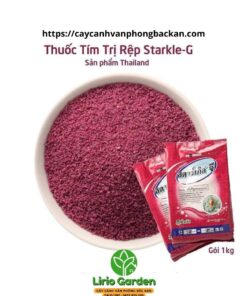 Thuốc Tím Thái Trị Rệp