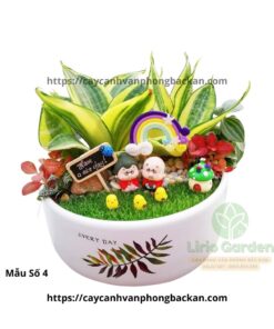 Cây Lưỡi Hổ Trang Trí Tiêu Cảnh