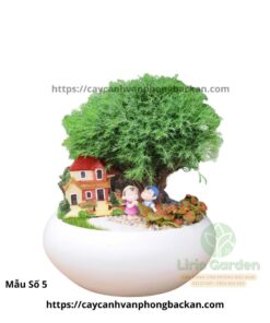Cây Tùng Bồng Lai Trang Trí Tiểu Cảnh