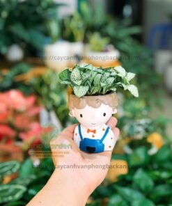 Chậu Cây Hình Con Trai