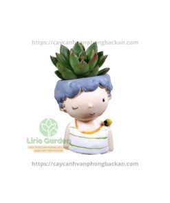 Chậu Cây Hình Con Trai