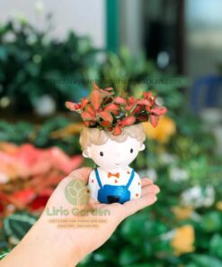 Chậu Cây Hình Con Trai