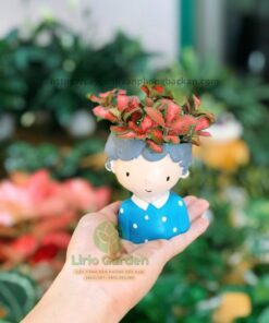 Chậu Cây Hình Con Trai
