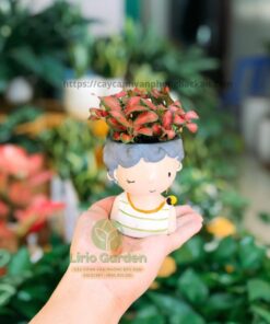 Chậu Cây Hình Con Trai
