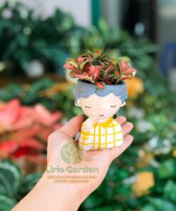 Chậu Cây Hình Con Trai